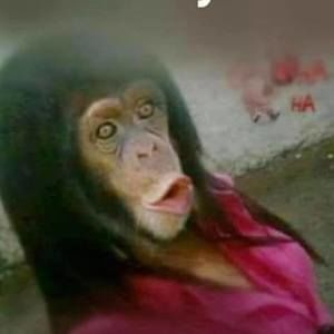 Meet your Posher, Talitha